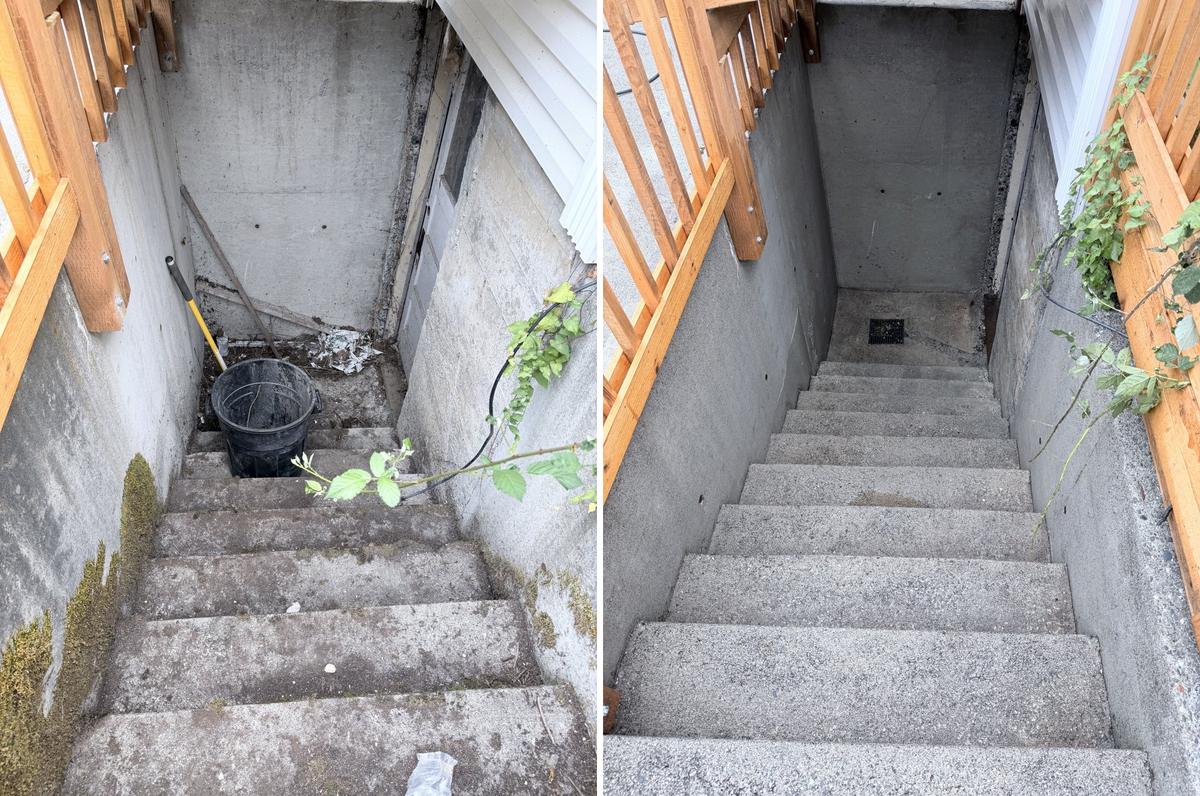 Overgrown basement stairwell cleared and pressure-washed clean — before and after