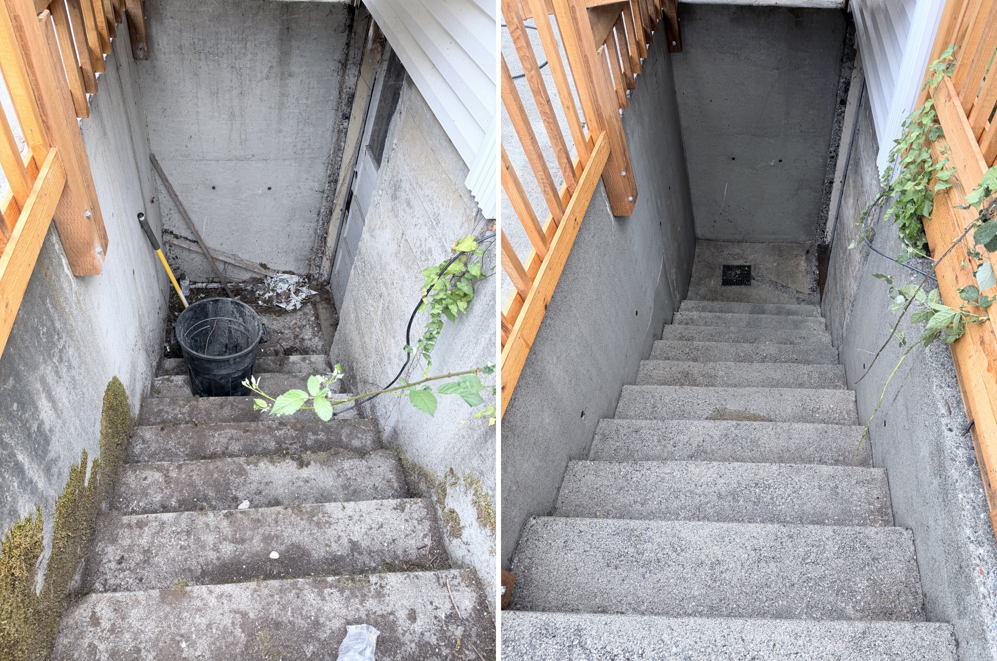 Overgrown basement stairwell cleared and pressure-washed clean — before and after